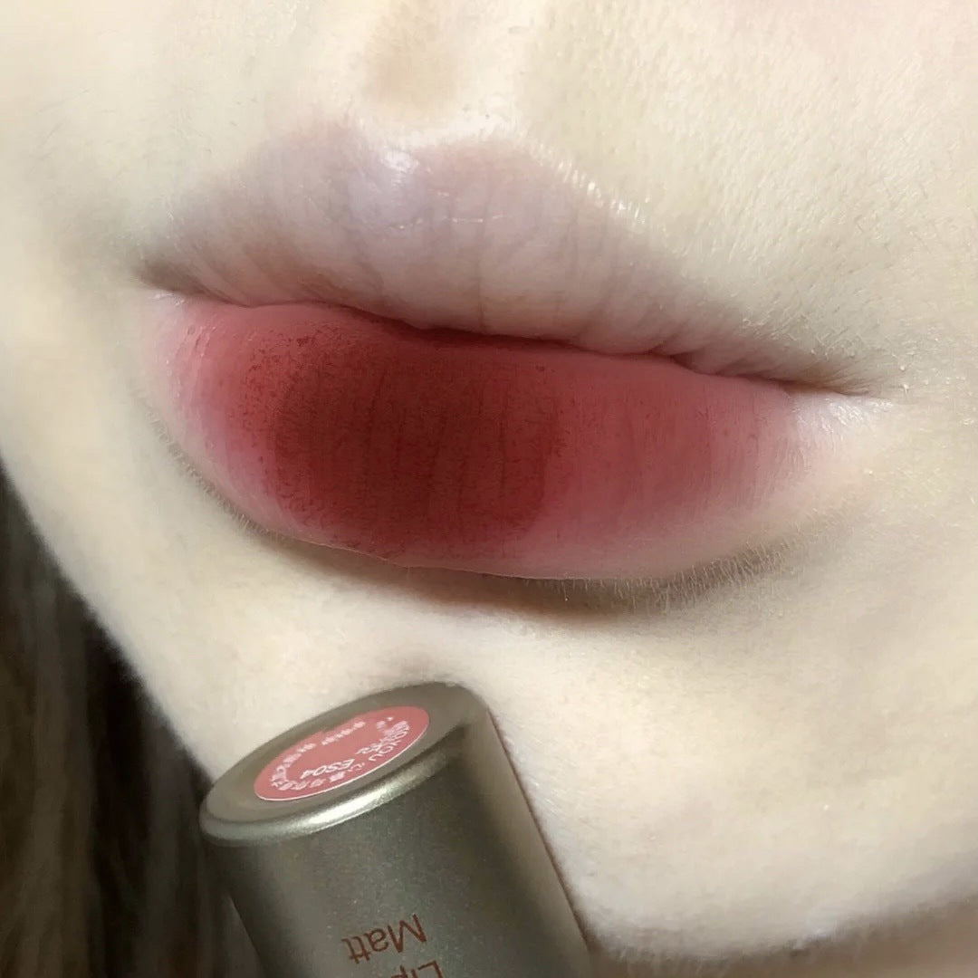 DIXI small silver tube lip glaze velvet matte white lip mud girl natural versatile live broadcast new makeup wholesale